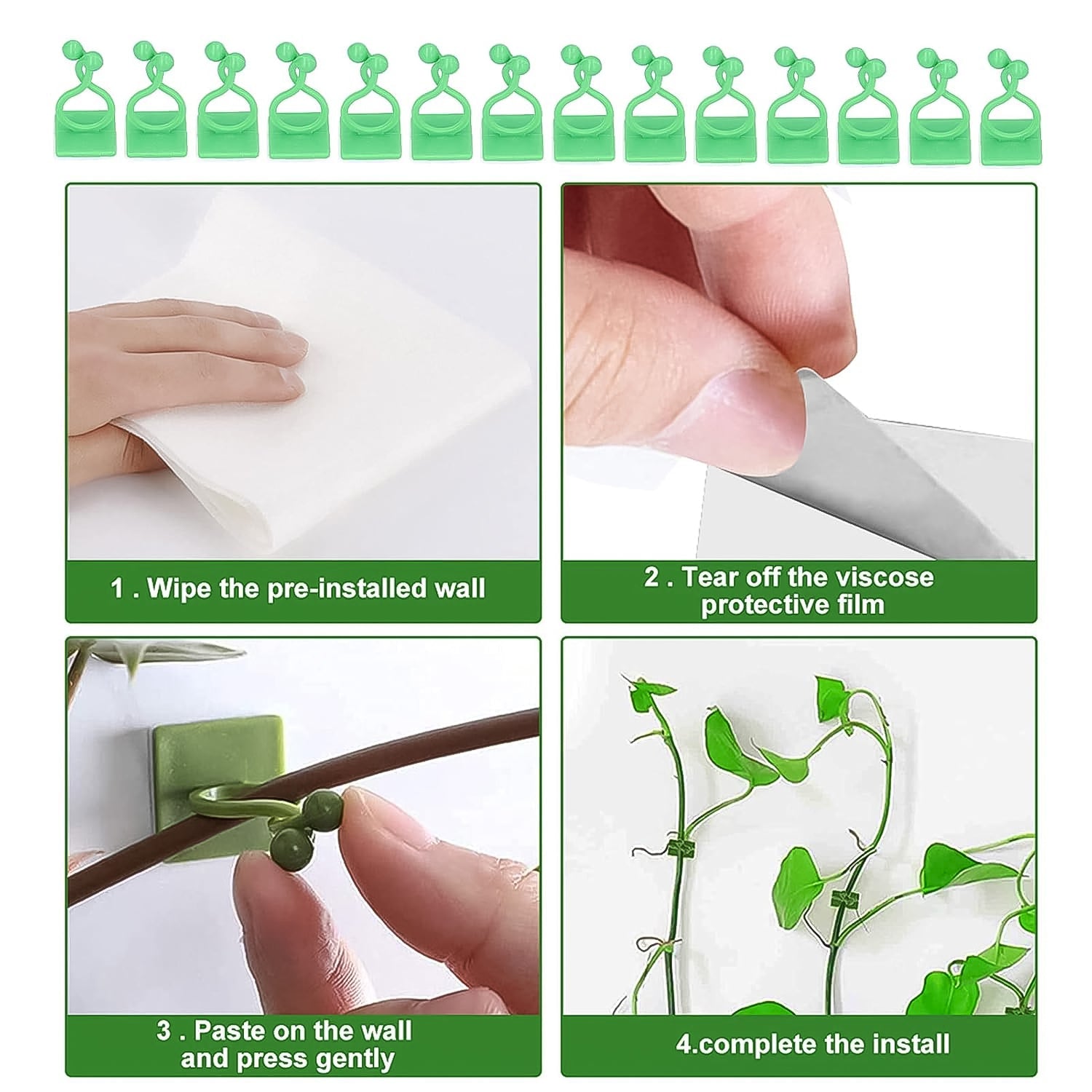 AdhesiPlant Holders AdhesiPlant Holders